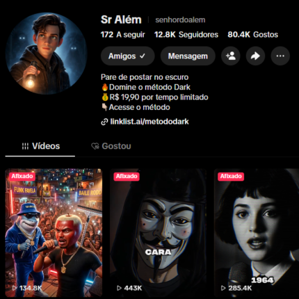 CONTA TIK TOK MONETIZADA 13 MIL SEGUIDORES