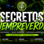 😱 OPORTUNIDADE: CANAL YOUTUBE CRESCENDO RÁPIDO (NICHO VIRAL)