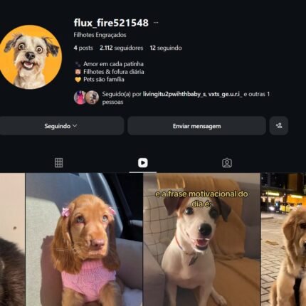 CONTA SOBRE PETS NICHO EM ALTA SEMPRE COM 2MIL SEGUIDORES MUITO BARATO PREÇO DE REVENDA!