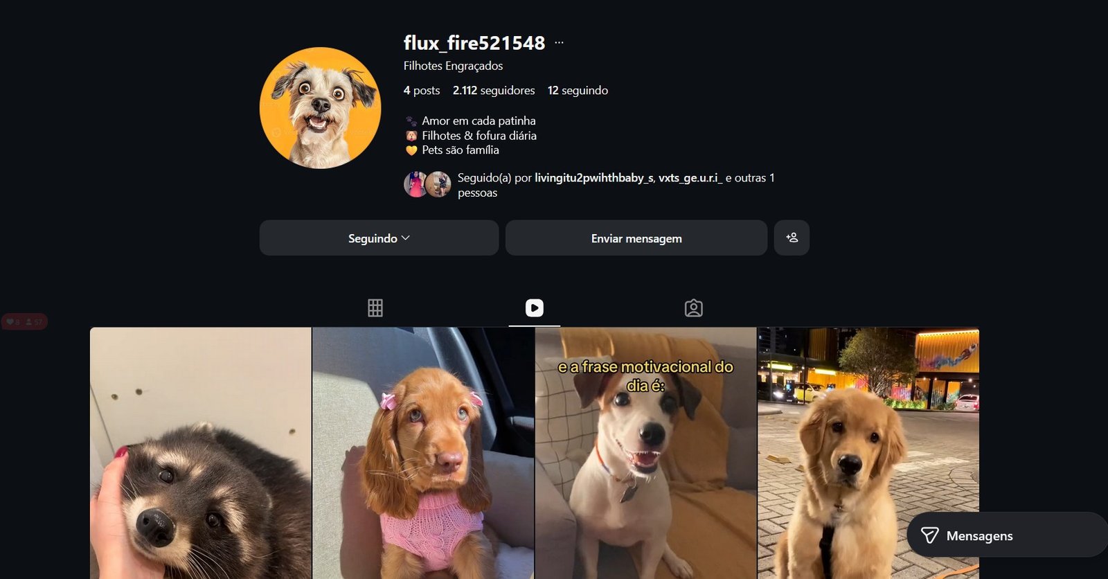 F1 CONTA SOBRE PETS NICHO EM ALTA SEMPRE COM 2MIL SEGUIDORES MUITO BARATO PREÇO DE REVENDA! - Imagem 1