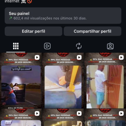 Perfil 12K Crescendo sozinho! 🚀🚀🚨