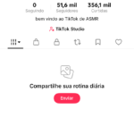 Conta TIKTOK 51,6K SEGUIDORES/ Vídeos Todos Arquivados!! Monetizada e TIKTOK SHOP ATIVO