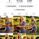 CONTA DO TIKTOK EUA MONETIZADA +11,7K SEGUIDORES (ENGAJAMENTO REAL)