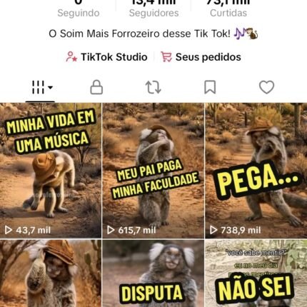 ZERO BALA!!! TIK TOK 13.4K RECÉM MONETIZADO, PRONTO PRA USO!