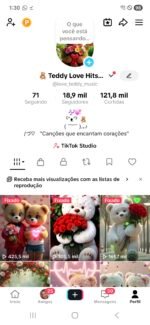 CONTA TIKTOK | 19 milSEG👥 | 121,8 mil CURT❤️ | MÚSICA & ENTRETENIMENTO 🎵| SHOP ATIVO 💰 e conta monetizada - Imagem 3