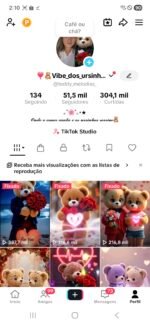 CONTA TIKTOK | 51,5K SEG👥 | 304,1K CURT ❤️ | MÚSICA & ENTRETENIMENTO 🎵 | SHOP ATIVA 💰