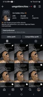Conta instagram impecável, 31k de seguidores totalmente orgânicos