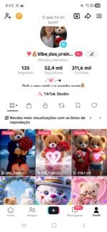 CONTA TIKTOK | 52,4K SEG👥 | 311,6K CURT ❤️ | MÚSICA & DANÇA - Imagem 3