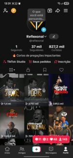 CANAL NO YOUTUBE 14 MIL + TIKTOK 38 MIL MONETIZADO + INSTAGRAM 25,9 MIL - Imagem 3