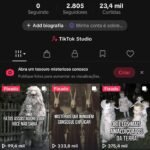 CONTA TIKTOK + DE 2.800 DE SEGUIDORES MUITO ENGAJADA (TIKTOK SHOP ATIVO SEM DOC) VENDER LOGO