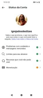 INSTAGRAM com 62,5 mil seguidores reais e ativos - Imagem 2