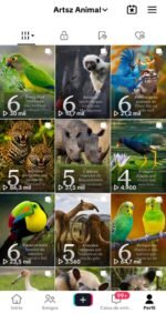 Conta Engajada Tiktok 9K Seguidores e +100 Mil Views Semanais - Imagem 2