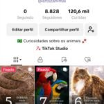 Conta Engajada Tiktok 9K Seguidores e +100 Mil Views Semanais
