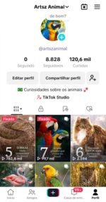 Conta Engajada Tiktok 9K Seguidores e +100 Mil Views Semanais