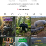 Tiktok - tema vida animal 16,5k Tiktok Shop ativo