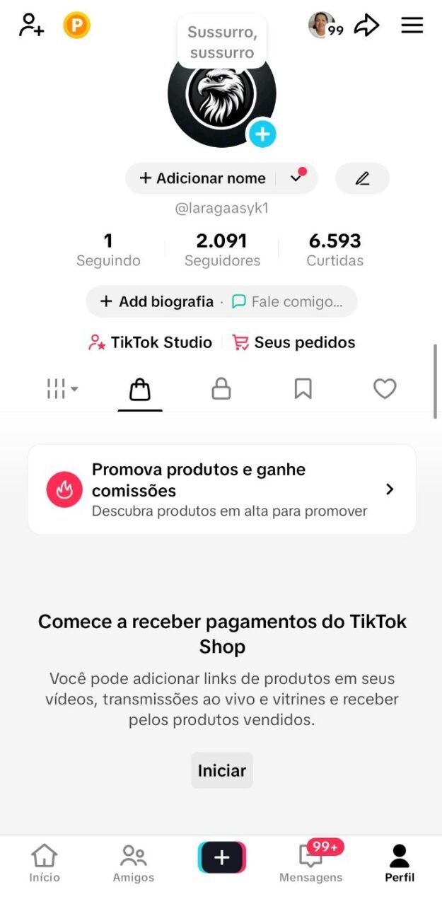 cropped-@laragaasyk1_print_1-1.jpg CONTA DO TIKTOK COM SHOP ATIVO +2K SEGUIDORES (ENGAJAMENTO REAL) - Imagem 1