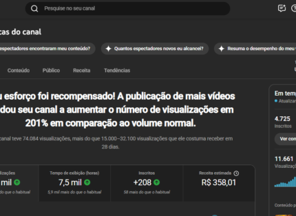 Canal NININHA DA FULERAGEM +4.700 inscritos reais