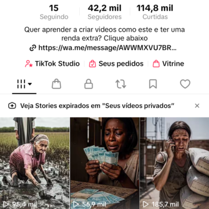 Continha monetizada sem restrição e com tik tok shop
