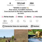 Conta TikTok com 131,500 seguidores