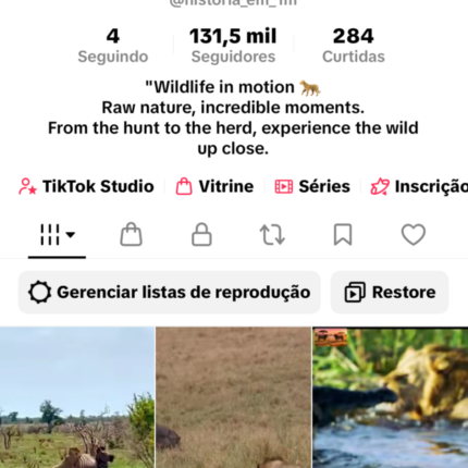 Conta TikTok com 131,500 seguidores