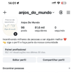 Conta Instagram em grande crescimento