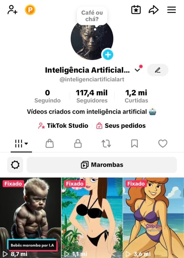 cropped-IMG_4671.jpeg CONTA TIKTOK 117K DE SEGUIDORES + TIKTOK SHOP + MONETIZAÇÃO + LIVE STUDIO - Imagem 1