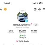 Conta Tiktok, engajamento muito bom.