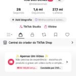 TikTok 1.6 milhões de seguidores Nicho cenas impressionantes
