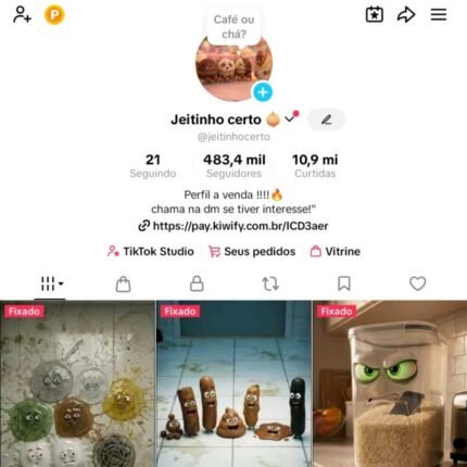 Conta Tiktok com 483k de Inscritos