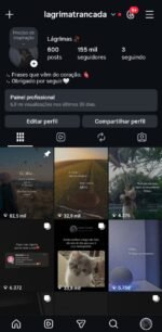 Conta instagram impecável, 155k de seguidores totalmente orgânicos