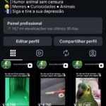 Conta Instagram com 33k de seguidores 100% orgânicos e autênticos