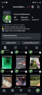 Conta Instagram com 33k de seguidores 100% orgânicos e autênticos
