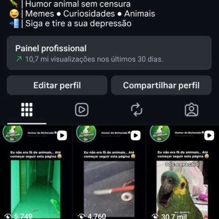 Conta Instagram com 33k de seguidores 100% orgânicos e autênticos