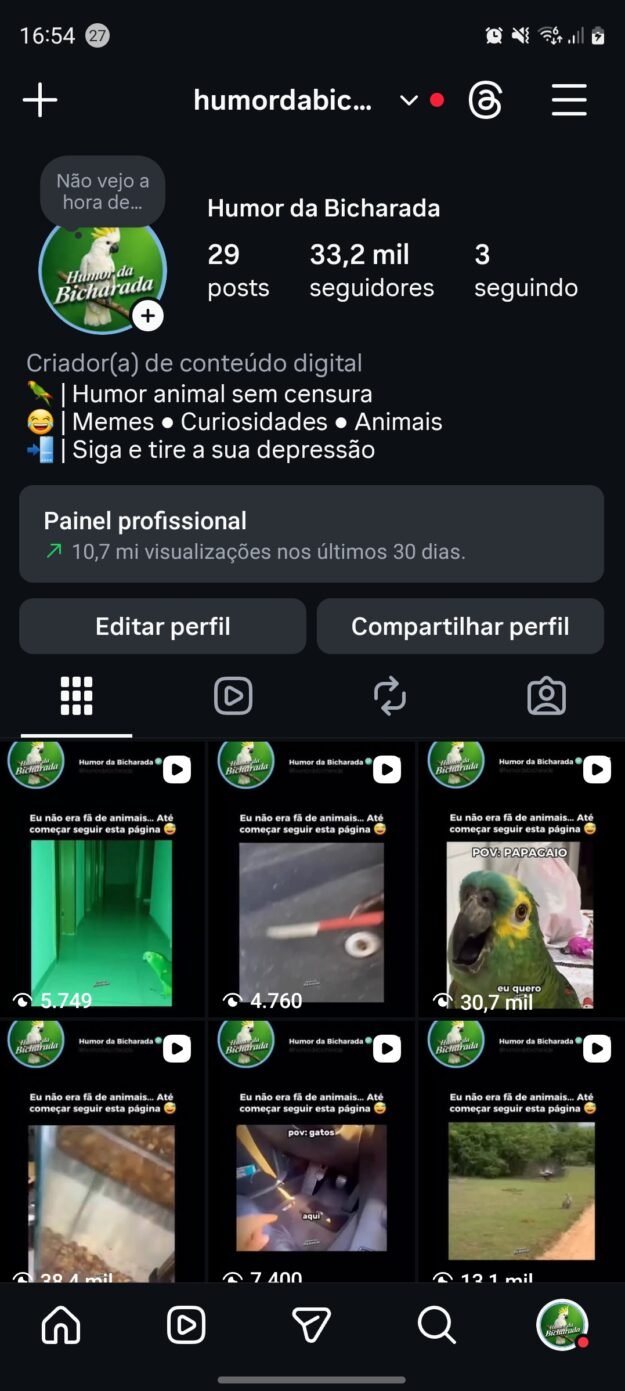 cropped-Screenshot_20260409_165405_Instagram.jpg Conta Instagram com 33k de seguidores 100% orgânicos e autênticos - Imagem 1