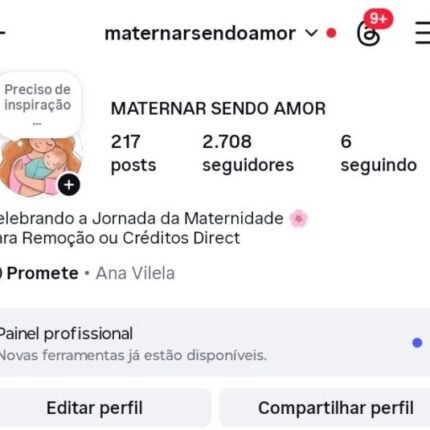 Conta Instagram nicho Maternidade