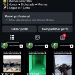 Conta Instagram com 8k de seguidores 100% orgânicos