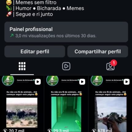 Conta Instagram com 8k de seguidores 100% orgânicos