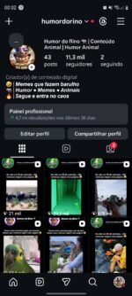 Conta Instagram com 11k de seguidores 100% autênticos