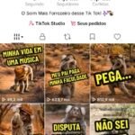 VIRALIZANDO!!! TIK TOK BR 14.3K RECÉM-MONETIZADO!