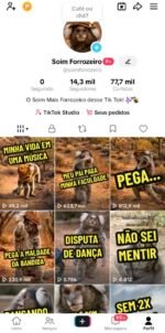 VIRALIZANDO!!! TIK TOK BR 14.3K RECÉM-MONETIZADO!