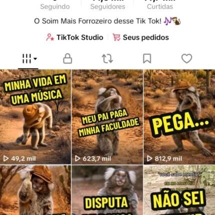 VIRALIZANDO!!! TIK TOK BR 14.3K RECÉM-MONETIZADO!