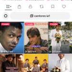 Conta com mais de 195 K de seguidores orgânicos com alto engajamento