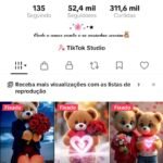 CONTA TIKTOK | 52,4K SEG👥 | 311,6K CURT ❤️ | MÚSICA & ENTRETENIMENTO 🎵 | SHOP ATIVA 💰