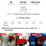 CONTA TIKTOK | 20milSEG👥 | 130,3mil CURT❤️ monetizada para tiktok shop e monetizada para programa criativo beta