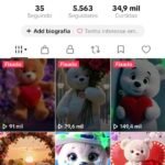 CONTA TIKTOK | 5,563+ SEG👥 | 34,9K CURT❤️ | NICHO TEDDY ,tiktok shop ativo 🧸 | SHOP ATIVA  💰