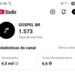 CANAL YOUTUBE 1573 SEGUIDORES