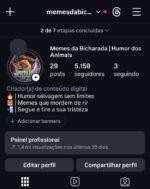 Conta Instagram com 5k de seguidores 100% orgânicos