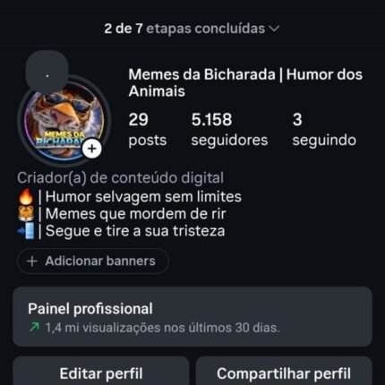Conta Instagram com 5k de seguidores 100% orgânicos