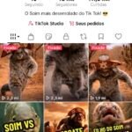 NOVA, BOA E BARATA! TIK TOK 48K MONETIZADO + SHOP SEM DOC