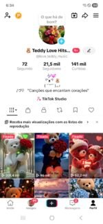CONTA TIKTOK com 21,5 mil SEG👥 | e 141 milCURT❤️ | NICHO TEDDY ,tiktok shop ativo 🧸 | SHOP ATIVA  💰Conta Monetizada